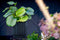 Capi Europe - Vaas cilinder Groove NL - 35x38 - Antraciet - Opening Ø29 - Bloempot voor binnen en buiten - Levenslang garantie - Breukbestendig - 100% Recyclebaar - CO2 Neutraal geproduceerd - KGVZ882