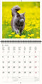 2026 Kalender schrijven 30 x 30 katten - gratis 2025