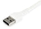 Startech.com RUSB2AC2MW - USB 2.0 naar USB-C kabel - 2m - 60W - Wit