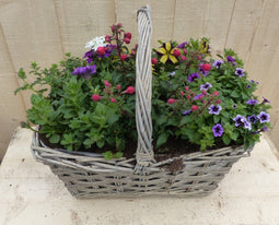 Hengselmand 40x25 cm zomerbloeiers kleurenmix I