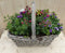 Hengselmand 40x25 cm zomerbloeiers kleurenmix I