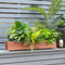 Coast Verhoogd Plantenbed - Dennenhout - 91,5 x 18 x 16 cm - Bruin