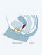 Fun Factory - Fun Cup Maat A - Turkoois