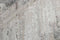 Temptation 7651 Vloerkleed - 170x240 - Rechthoek - Laagpolig Tapijt - Landelijk - Beige, Grijs