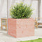 vidaXL - Plantenbak - 80x80x68,5 - cm - massief - douglashout
