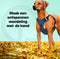 Jake and Jacky Hondentuigje - Anti-Trek Tuig - Y Tuig Hond - Reflecterend - Blauw - Maat L
