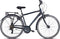 Legnano Cambridge Stadsfiets - Herenfiets 28 Inch - 7 versnellingen