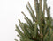 Kerstboom Picea glauca Super Green ↨ 120cm - hoge kwaliteit planten