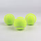Tennisballen Set van 3 Geel