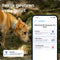 Tractive DOG 6 - GPS Tracker voor Honden - Real-Time Locatie en Activiteitenmonitor - Munt