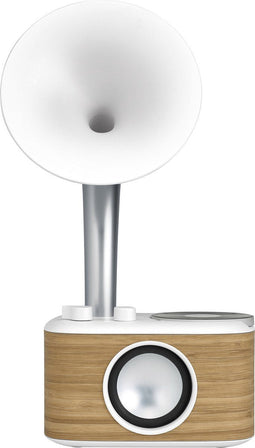 Sangean WR-45 - FM-radio met Bluetooth en aux-ingang - Wit