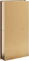 vidaXL - Douchenis - 32x62x9 - cm - roestvrijstaal - geborsteld - goudkleurig