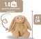 Verzwaringsknuffel 2Kg - Verzwaarde Knuffel - Coco Konijn - Weighted Stuffed Animal - Sensorisch