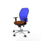 Piqueras y Crespo 1D086G0 - Bureaustoel - Verstelbare hoogte met armleuning - Blauw Bruin
