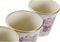 Pottenset DKD Home Decor Beige Roze PVC (38 x 12 x 14 cm) (3 Onderdelen)