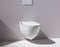 LAUFEN Cleanet Riva - Douchewc - Wandmodel - Randloos - Wit