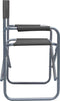 vidaXL - Regisseursstoelen - 2 - st - staal - grijs