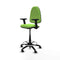 Piqueras y Crespo B2D01RF - Bureaustoel - Hoogteverstelbaar met armleuning - Pistache