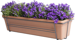Campanula Addenda Lavender in ELHO ® Green Basics balkonbak (Mild Terra) met metalen balkonrek ↨ 30cm - hoge kwaliteit planten