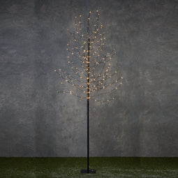 Luca Lighting Boom - Decoratieve LED Verlichting - 248 lichtpunten - Zwart