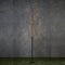 Luca Lighting Boom - Decoratieve LED Verlichting - 248 lichtpunten - Zwart
