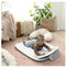 Cozy Prop 4-in-1 Sit Up & Activity Mat.