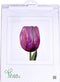Thea Gouverneur - Borduurpakket met telpatroon - 514 - Voorgesorteerde DMC Garens - Paarse Triumph Tulp - Linnen - 34 cm x 36 cm - DIY Kit