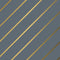 Apparaatrol Haza Chique Anthracite 125mx50cm