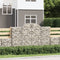 vidaXL - Schanskorven - 9 - st - gewelfd - 200x30x120/140 - cm - ijzer