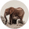 Label2X - Muurcirkel baby olifant - Ø 140 cm - Forex - Multicolor - Wandcirkel - Rond Schilderij - Muurdecoratie Cirkel - Wandecoratie rond - Decoratie voor woonkamer of slaapkamer