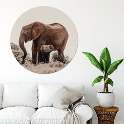 Label2X - Muurcirkel baby olifant - Ø 30 cm - Forex - Multicolor - Wandcirkel - Rond Schilderij - Muurdecoratie Cirkel - Wandecoratie rond - Decoratie voor woonkamer of slaapkamer