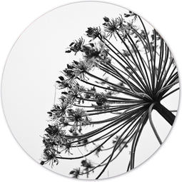 Label2X - Muurcirkel - Blew - Ø 100 cm - Forex - Multicolor - Wandcirkel - Rond Schilderij - Bloemen en Planten - Muurdecoratie Cirkel - Wandecoratie rond - Decoratie voor woonkamer of slaapkamer