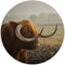 Label2X - Muurcirkel bull - Ø 120 cm - Dibond - Multicolor - Wandcirkel - Rond Schilderij - Muurdecoratie Cirkel - Wandecoratie rond - Decoratie voor woonkamer of slaapkamer