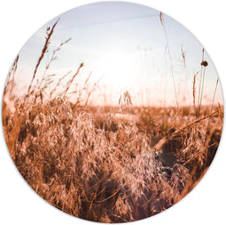 Label2X - Muurcirkel calm - Ø 100 cm - Forex - Multicolor - Wandcirkel - Rond Schilderij - Muurdecoratie Cirkel - Wandecoratie rond - Decoratie voor woonkamer of slaapkamer