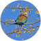 Label2X - Muurcirkel colour birdy - Ø 120 cm - Forex - Multicolor - Wandcirkel - Rond Schilderij - Muurdecoratie Cirkel - Wandecoratie rond - Decoratie voor woonkamer of slaapkamer