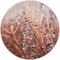 Label2X - Muurcirkel cosy flower winter - Ø 80 cm - Forex - Multicolor - Wandcirkel - Rond Schilderij - Muurdecoratie Cirkel - Wandecoratie rond - Decoratie voor woonkamer of slaapkamer