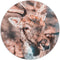 Label2X - Muurcirkel deer bright - Ø 12 cm - Forex - Multicolor - Wandcirkel - Rond Schilderij - Muurdecoratie Cirkel - Wandecoratie rond - Decoratie voor woonkamer of slaapkamer