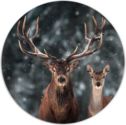 Label2X - Muurcirkel deer couple - Ø 140 cm - Forex - Multicolor - Wandcirkel - Rond Schilderij - Muurdecoratie Cirkel - Wandecoratie rond - Decoratie voor woonkamer of slaapkamer