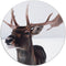 Label2X - Muurcirkel deer head - Ø 140 cm - Dibond - Multicolor - Wandcirkel - Rond Schilderij - Muurdecoratie Cirkel - Wandecoratie rond - Decoratie voor woonkamer of slaapkamer
