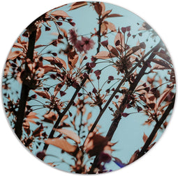 Label2X - Muurcirkel dried sky - Ø 30 cm - Forex - Multicolor - Wandcirkel - Rond Schilderij - Muurdecoratie Cirkel - Wandecoratie rond - Decoratie voor woonkamer of slaapkamer