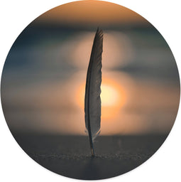 Label2X - Muurcirkel feather beach - Ø 100 cm - Forex - Multicolor - Wandcirkel - Rond Schilderij - Muurdecoratie Cirkel - Wandecoratie rond - Decoratie voor woonkamer of slaapkamer