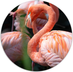 Label2X - Muurcirkel flamingo dream - Ø 20 cm - Forex - Multicolor - Wandcirkel - Rond Schilderij - Muurdecoratie Cirkel - Wandecoratie rond - Decoratie voor woonkamer of slaapkamer