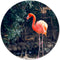 Label2X - Muurcirkel flamingo - Ø 60 cm - Dibond - Multicolor - Wandcirkel - Rond Schilderij - Muurdecoratie Cirkel - Wandecoratie rond - Decoratie voor woonkamer of slaapkamer