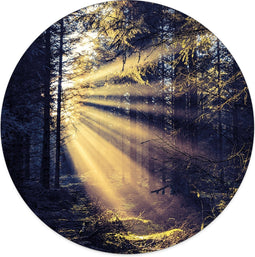 Label2X - Muurcirkel flare wood - Ø 100 cm - Forex - Multicolor - Wandcirkel - Rond Schilderij - Muurdecoratie Cirkel - Wandecoratie rond - Decoratie voor woonkamer of slaapkamer