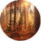 Label2X - Muurcirkel forest - Ø 60 cm - Forex - Multicolor - Wandcirkel - Rond Schilderij - Muurdecoratie Cirkel - Wandecoratie rond - Decoratie voor woonkamer of slaapkamer