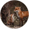 Label2X - Muurcirkel foxes - Ø 80 cm - Dibond - Multicolor - Wandcirkel - Rond Schilderij - Muurdecoratie Cirkel - Wandecoratie rond - Decoratie voor woonkamer of slaapkamer