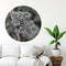 Label2X - Muurcirkel frost plant - Ø 120 cm - Forex - Multicolor - Wandcirkel - Rond Schilderij - Muurdecoratie Cirkel - Wandecoratie rond - Decoratie voor woonkamer of slaapkamer