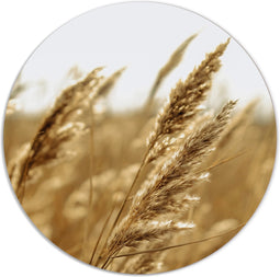 Label2X - Muurcirkel gold grain - Ø 40 cm - Dibond - Multicolor - Wandcirkel - Rond Schilderij - Muurdecoratie Cirkel - Wandecoratie rond - Decoratie voor woonkamer of slaapkamer