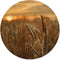 Label2X - Muurcirkel - Grain - Ø 100 cm - Dibond - Wandcirkel bloem - Bloemen - Wandcirkel natuur - Wandcirkel rond - Wanddecoratie woonkamer - Wandcirkel - Muurcirkel binnen - Wandbord rond - Muurcirkel - WallCircle