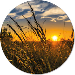 Label2X - Muurcirkel grass sun - Ø 30 cm - Forex - Multicolor - Wandcirkel - Rond Schilderij - Muurdecoratie Cirkel - Wandecoratie rond - Decoratie voor woonkamer of slaapkamer